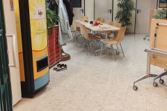 IMG_20241031_195209806